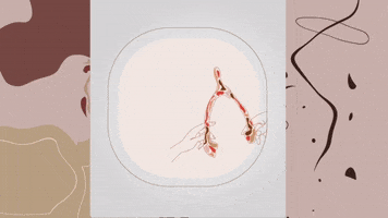 ladeees GIF