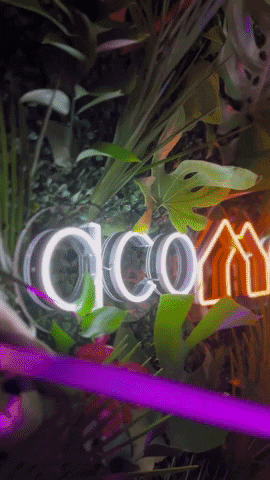 Acomodo Rentals GIF