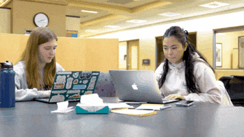 College Studying GIF by James Madison University