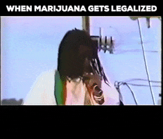 Legalizeit Marijuana Legalizemarijuana Happydance Petertosh GIF by Peter Tosh