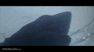 Jaws GIF