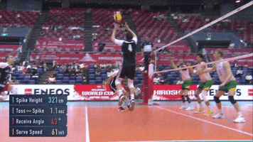 Bartosz Kurek Reaction GIF by Volleyball World