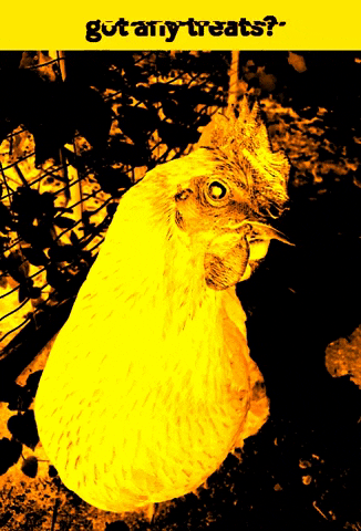 EggPlant Urban Farm Supply GIF