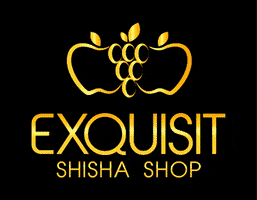 Exquisit GIF