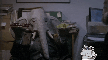 VismaFinancialSolutions visma elefantti elefanttitoimistolla GIF