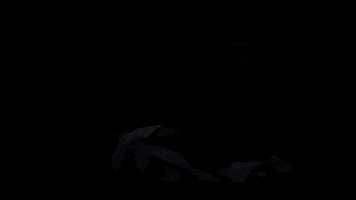 hanimitwasi fight protest struggle champions anthem GIF