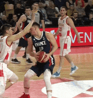 France Dunk GIF by FIBA