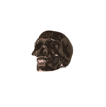 Skull Sticker by Denigro