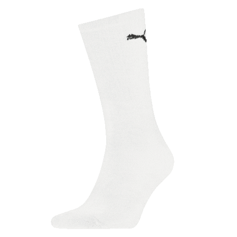 Socks Sticker by stichd