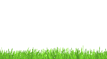 Bee Connect Sticker by Get Grounded Shop