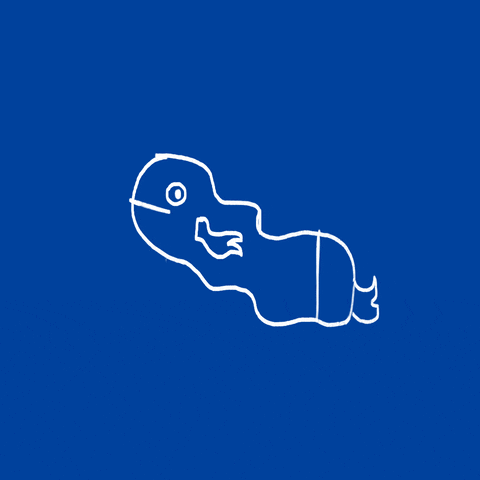Fish GIF