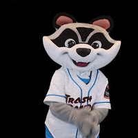 Raccoon Sprocket GIF by Rocket City Trash Pandas