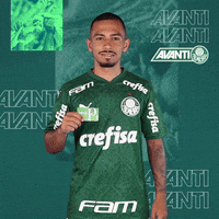 Happy Feliz GIF by SE Palmeiras