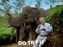 Dilmah GIF