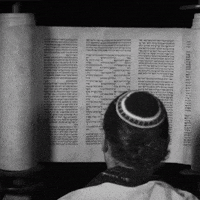 Torah GIF by Hebrew Union College-Jewish Institute of Religion