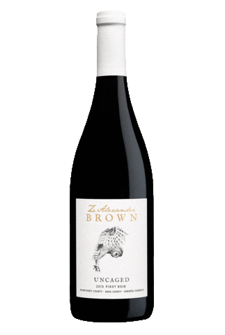 Z. Alexander Brown Sticker