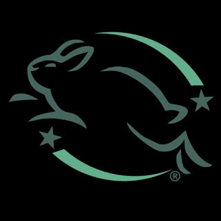 Leaping Bunny GIF
