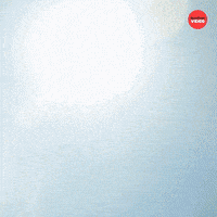 Dogs International Dog Day GIF by BuzzFeed