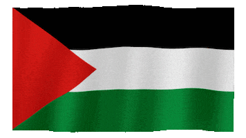 Flag Palestine GIF by Guy with Red Beard