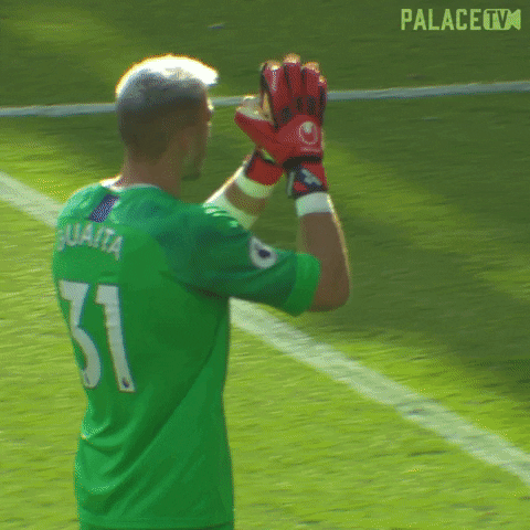 Waving Crystal Palace GIF by CPFC