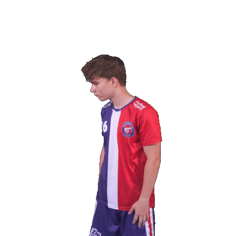 Florbal Sticker by Kanonýři Kladno