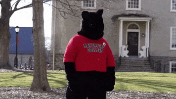 200.gif?cid=fc005b08b0d34f88a639b5fe098cc6a435af296b07fa520c&rid=200.gif&ct=g