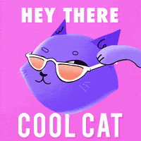 Cool Cat Hello GIF
