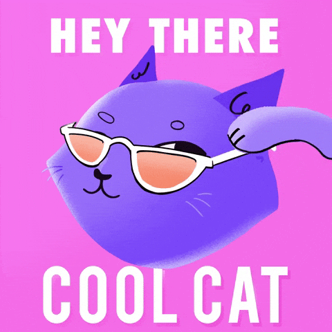Cool Cat Hello GIF - Find & Share on GIPHY