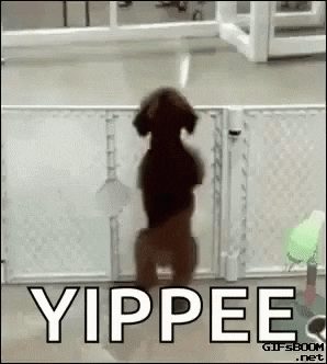 Tbh Yippee GIF - Tbh Yippee Yipee - Discover & Share GIFs
