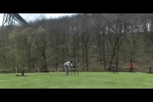 Wim Wenders GIF