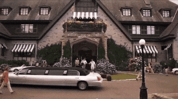 White Chicks GIF