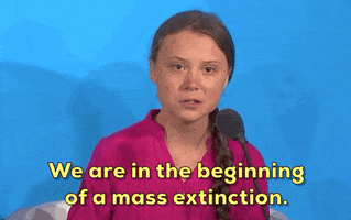 200.gif