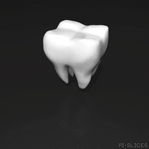 Brokentooth GIFs Get the best GIF on GIPHY