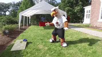 Gwynedd Mercy University GIF