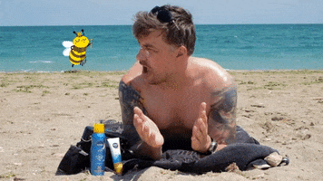 Wasp GIF