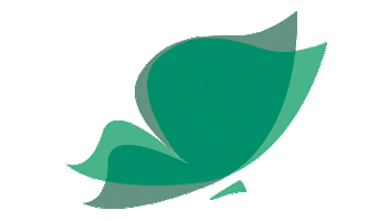 Illuminaestetica Borboletaillumina Sticker by Illuminá