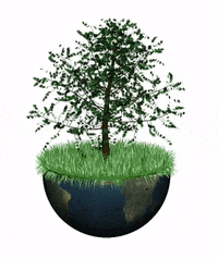 trees moving gif