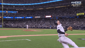 New York Yankees Sport GIF by MLB