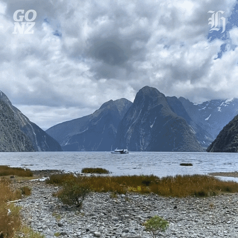 New Zealand GIF by NZH Travel