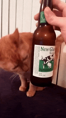 beer