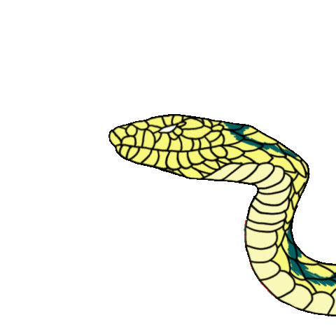 Snake Sticker