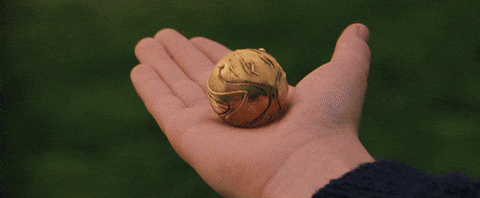 Harry Potter Snitch GIF - Find & Share on GIPHY