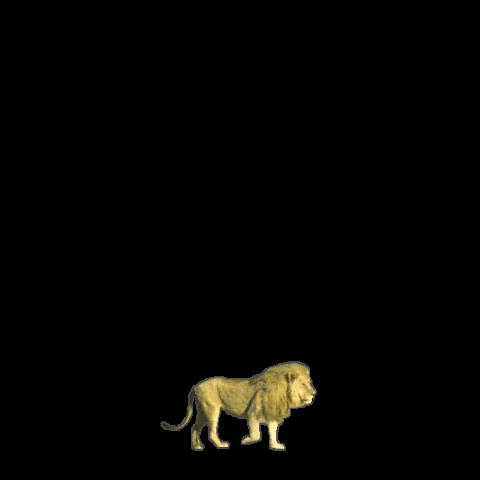 Lion Wildstyle GIF by Wild Mascot