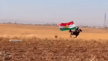 Horse Flag GIF