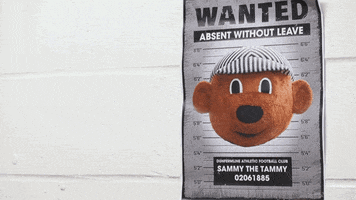 officialdafc mascot poster missing dunfermline GIF