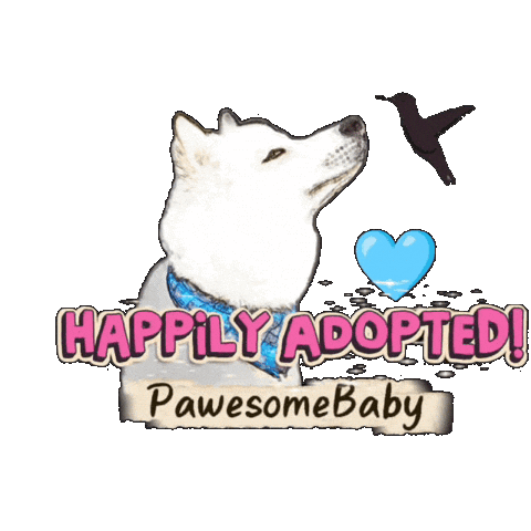 Husky Sticker by PawesomeBaby