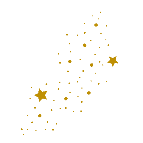 Star Sticker