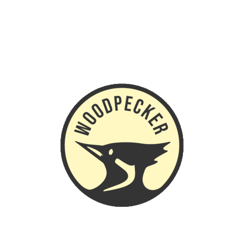 Woodpecker Family Sticker