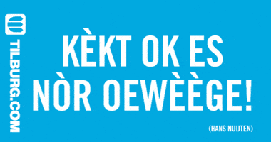 Carnaval Kruikenstad GIF by Tilburg.com