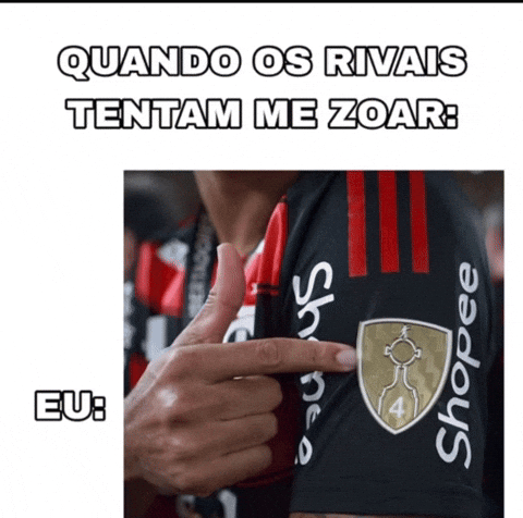 Flamengo Vs Palmeiras GIF